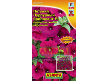 ����� ������� ��������� ��������� ����������. 25,50 ���..jpg