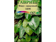 ����� ����� ��������� ���� 17,60 ���..jpg