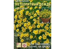 ����� ���������� ����������� ����� 11,50 ���..jpeg