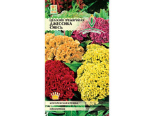 ����� ������� �������� �����  9,00 ���..jpeg