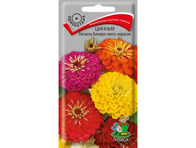 ����� ������ ������� ������ ����� ������� 22,00 ���..jpg