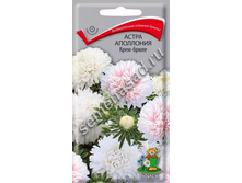 ����� ����� ��������� ����-����� 5,50 ���..jpg