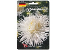 ����� ����� ��������� ������ ����� 13,80 ���..jpg