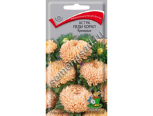 ����� ����� ���� ����� �������� 12,00 ���..jpg