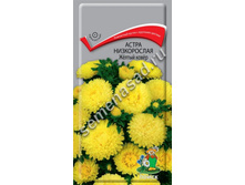 ����� ����� ����������� ������ ����� 5,50 ���..jpg