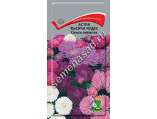 ����� ����� ������ ����� ����� ������� 6,50 ���..jpg