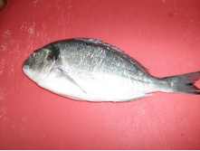 ���������� ��"��"���