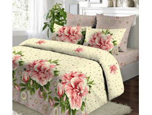 ����� ��� -5.jpg