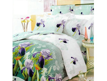 ����  -4.jpg