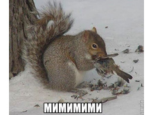 ����������� ������� ���أ�!