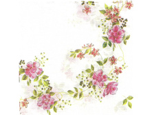 № 148   ����������� 5 ���      10 ��