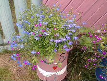 �������� ������.jpg