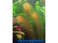 ��������������