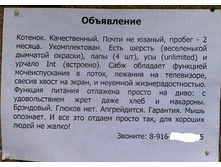 ��������� �������_n.jpg