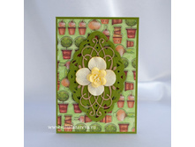 ������� 250 ���.