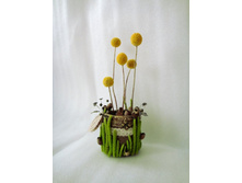 ������� ��������� �������