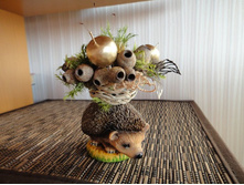 ���������� \"���� � ��������\"