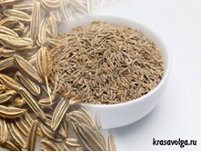 ����� (����).jpg