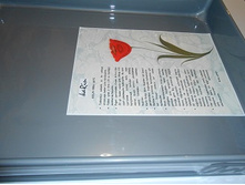 ����� ����������� ����� 35�50 ��_1313+%