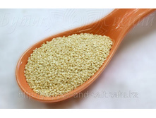 ������ �����.jpg