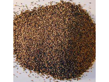 ����� ������ �������.jpg