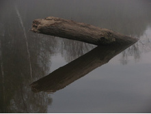 ���������?