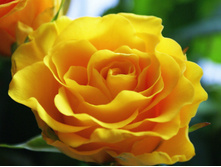 ������� �����-��������� 145�.jpg