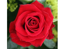 �������� ���������� 154�.jpg