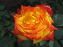 ����� ���������� 145�.jpg