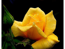 �������� �����-��������� 145�.jpg