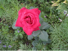 ���� ������� ��������� 145�.jpg