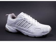 wbl a52851 bel6 - 490 �..jpg