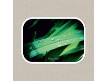 MagicPad II �������� ������ - 1500,00.jpg