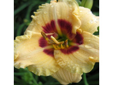 ������ ���� ����+���. ����.+)