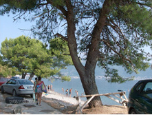 ����� 3.jpg