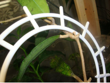 ����� ���������� � ����� ���������.JPG