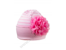 ALEXOL ����� 8.jpg