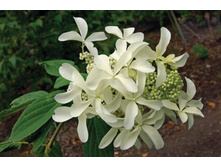 ����� ���� ���.+23�