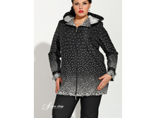 2429178 (����).jpg