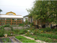 DSCN0641.JPG