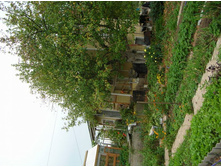 DSCN0642.JPG