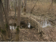 ������������� ������