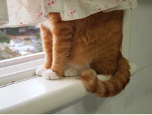 ���� �� �����