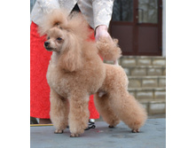 DSC_1580.JPG