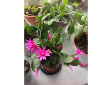 �������������