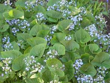 �������� ���������  ���� 60 ���