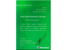 megafon.jpg