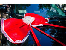 ���� � ������ � ������-����� ����� - ������ 300 ���.