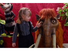 DSCF5718_����� ������.JPG