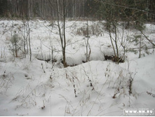 ��� ���� ���������� ������